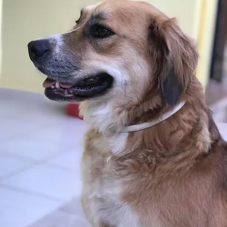 Eptanisa 3* Mikros Gialos