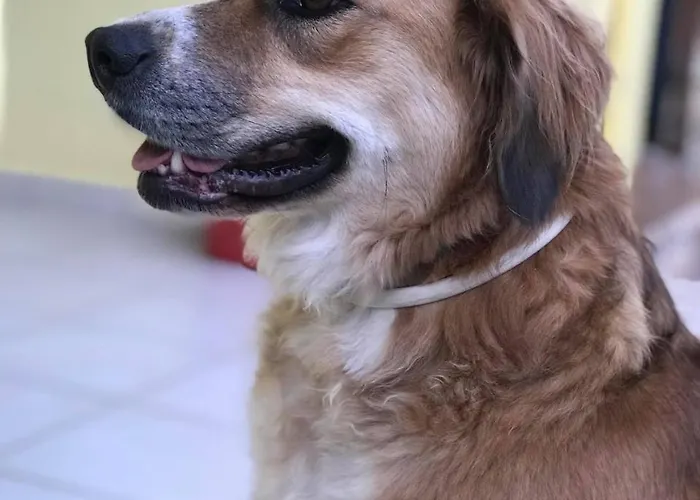 Eptanisa 3* Mikros Gialos